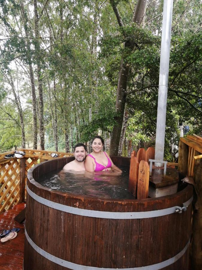 Cabanas Huilipan Gonzalez Nueva Imperial Luaran gambar